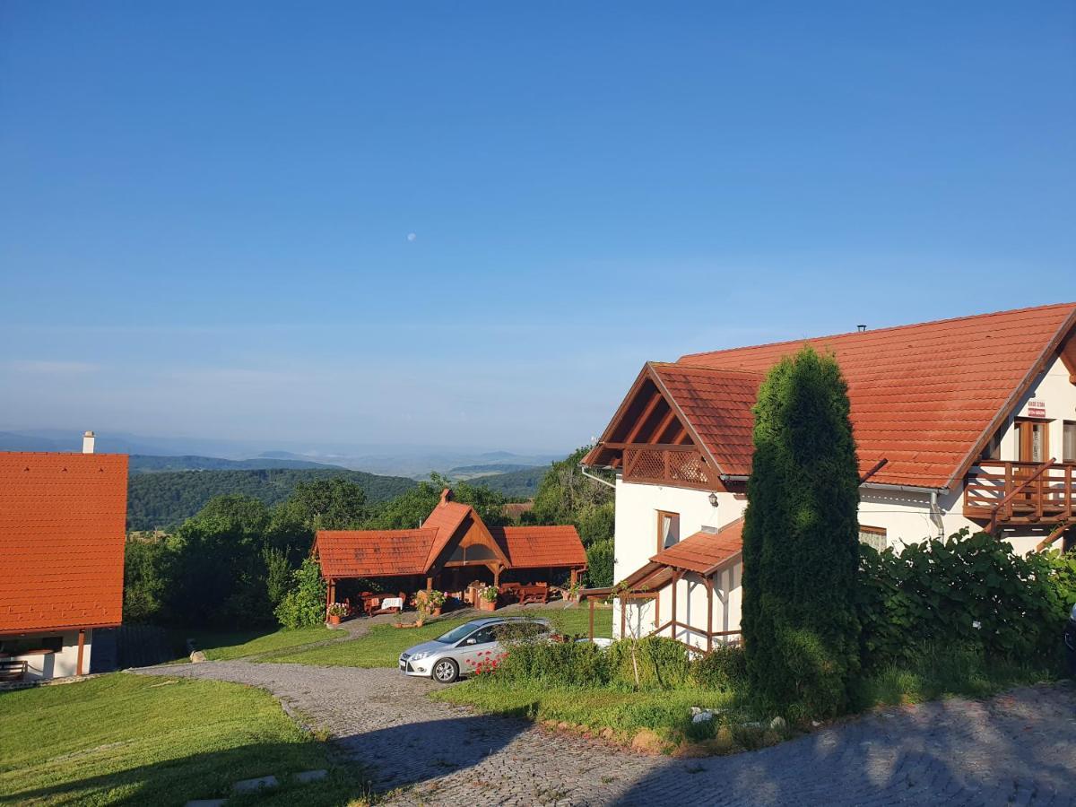 Pensiunea Szilas Panzió Székelypálfalva Kültér fotó