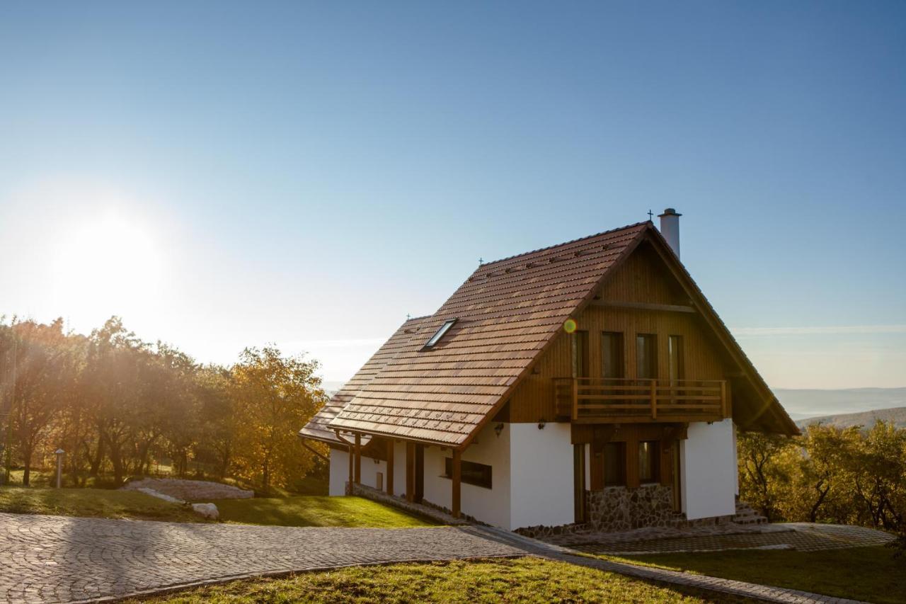Pensiunea Szilas Panzió Székelypálfalva Kültér fotó